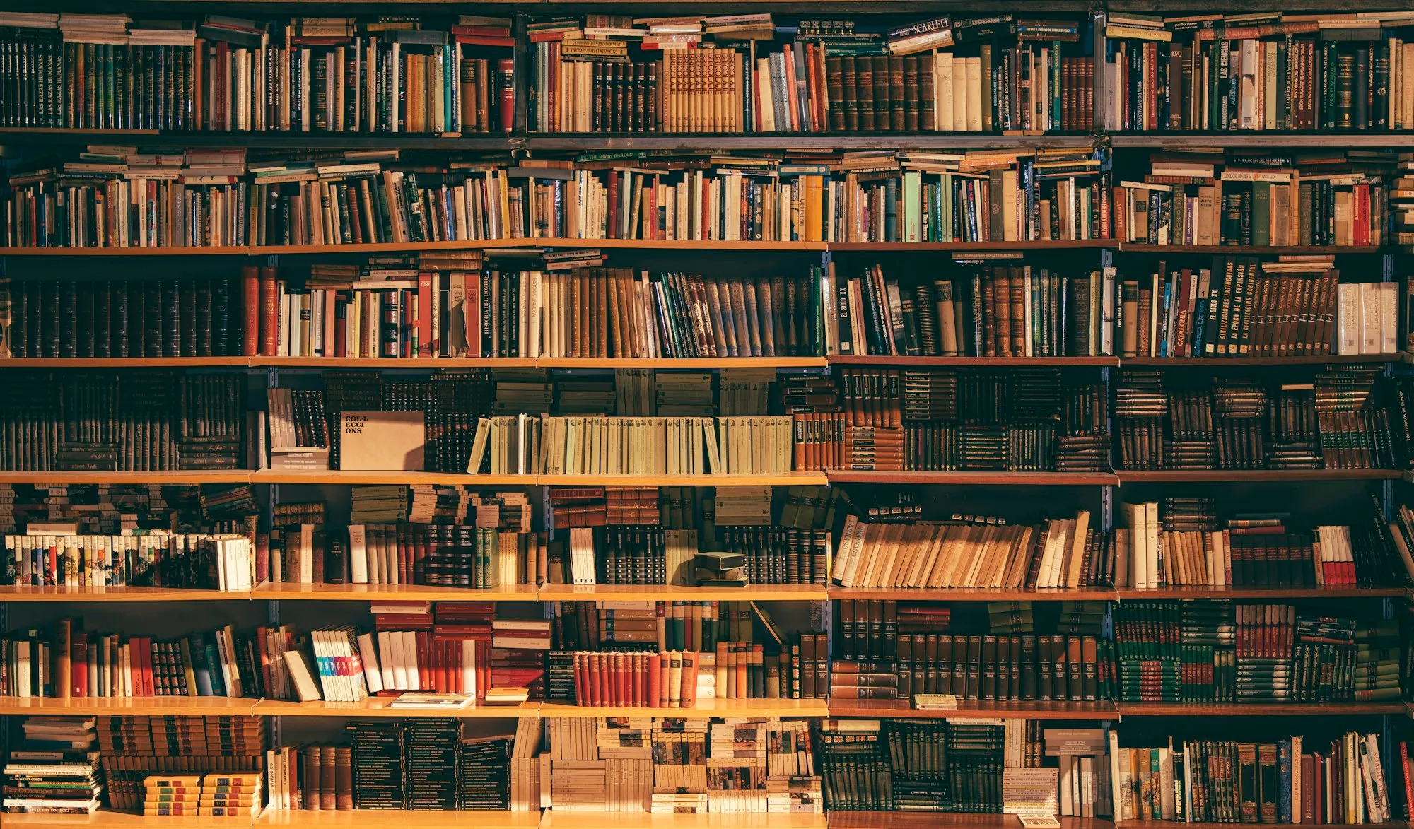 A wall of full library shelves, spines packed tight from floor to ceiling.